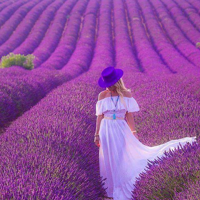 12670144_10207435269172854_1595235768066912587_n