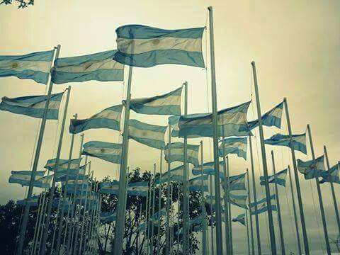 11221713_10205719007347381_1800714703349481130_n