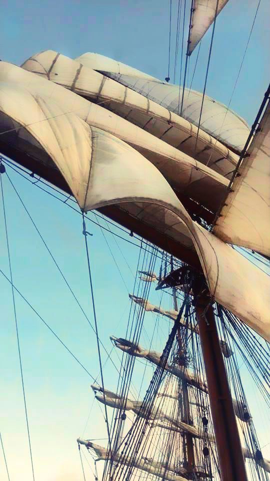 13178648_961994210565512_2759694748794413704_n