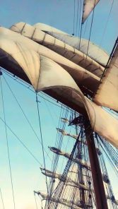 13178648_961994210565512_2759694748794413704_n