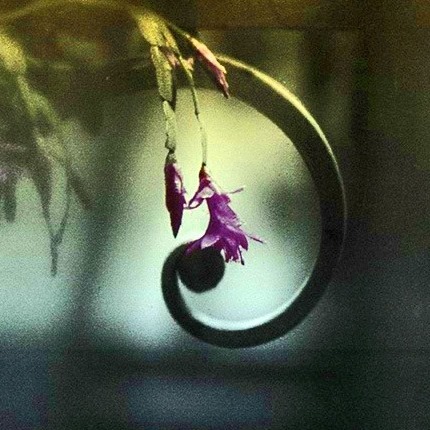 13239153_10209769106207123_584420568269373430_n