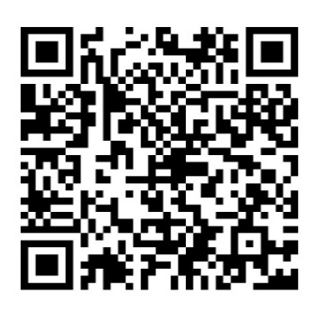 gaviota porteña deambulando por marsella