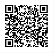 gaviota porteña volando a uruguay