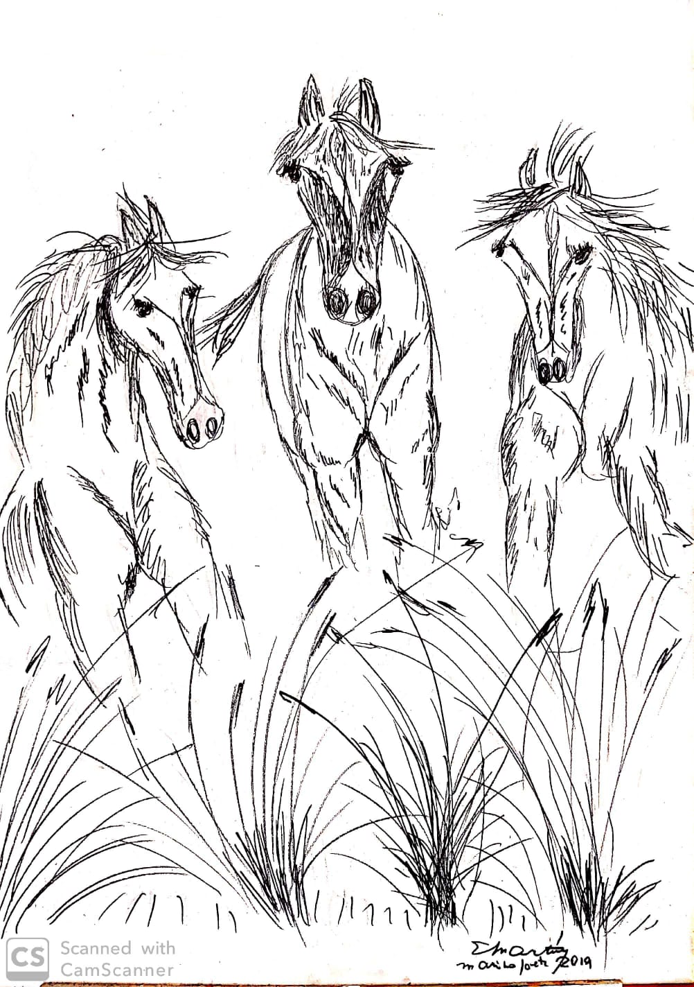 sorpresa en los pastizales