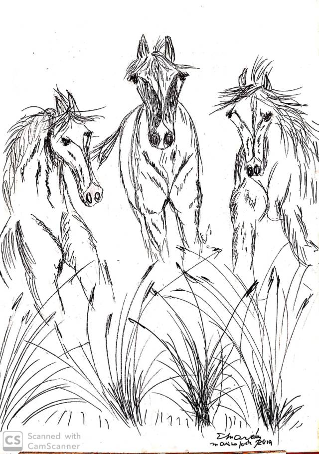 sorpresa en los pastizales