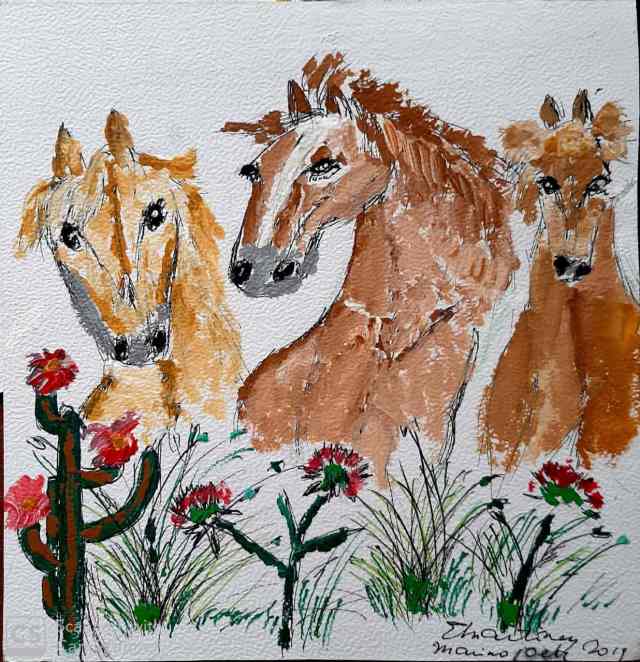 Curioseando en el cardal