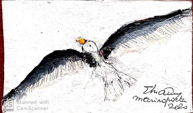 gaviota solitaria de Mercedes