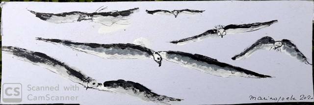 WhatsApp Image 2020-01-09 at 07.31.34