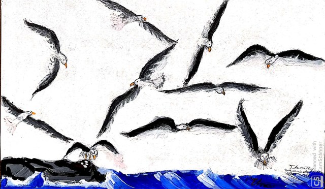 Subiendo lomas la bandada del roquedal