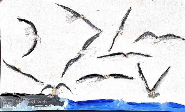 bandada en el roquedal