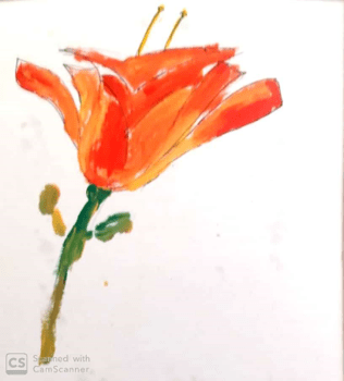 el encanto de jazmin2