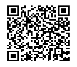 soneto con respeto a rochi