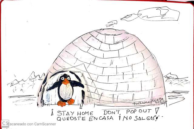 Quedate en casa, stay home